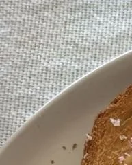 Delicious romanticized breakfasts showcasing cream cheese and jam in a delightful setting.