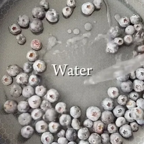 blueberry oat bars 2026 03 11 103930 576x1024 1