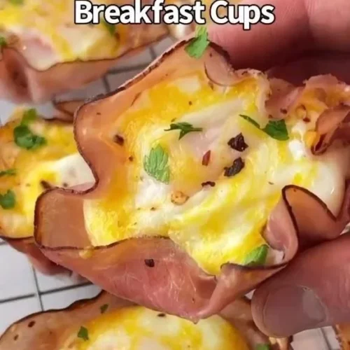 A variety of delicious recipes for every occasion, featuring vibrant ingredients.